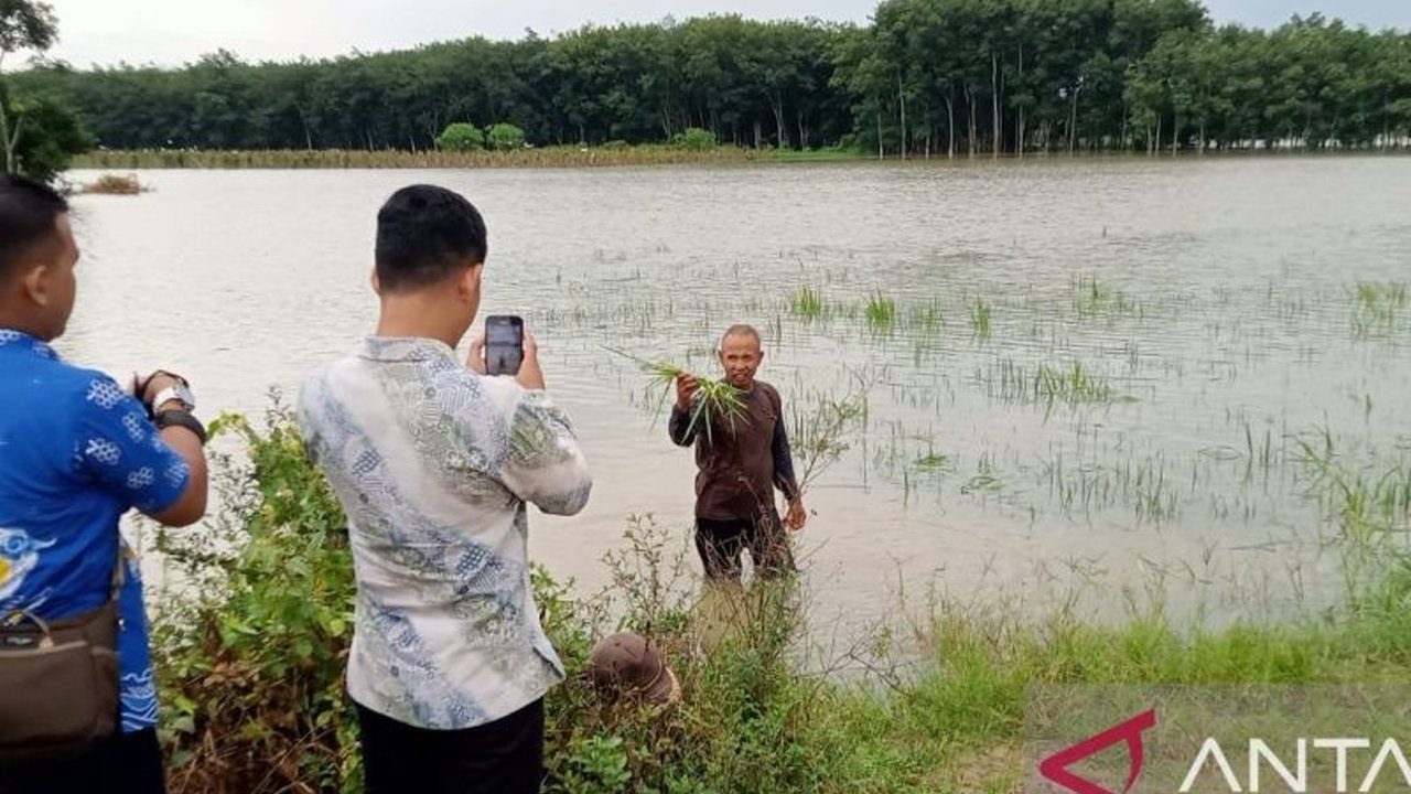 Banjir di Ogan Komering Ilir, Sumatera Selatan akibat meluapnya Sungai Komering masih menggenangi 10 desa, meskipun sebagian besar wilayah telah surut; petugas gabungan BNPB terus siaga.
