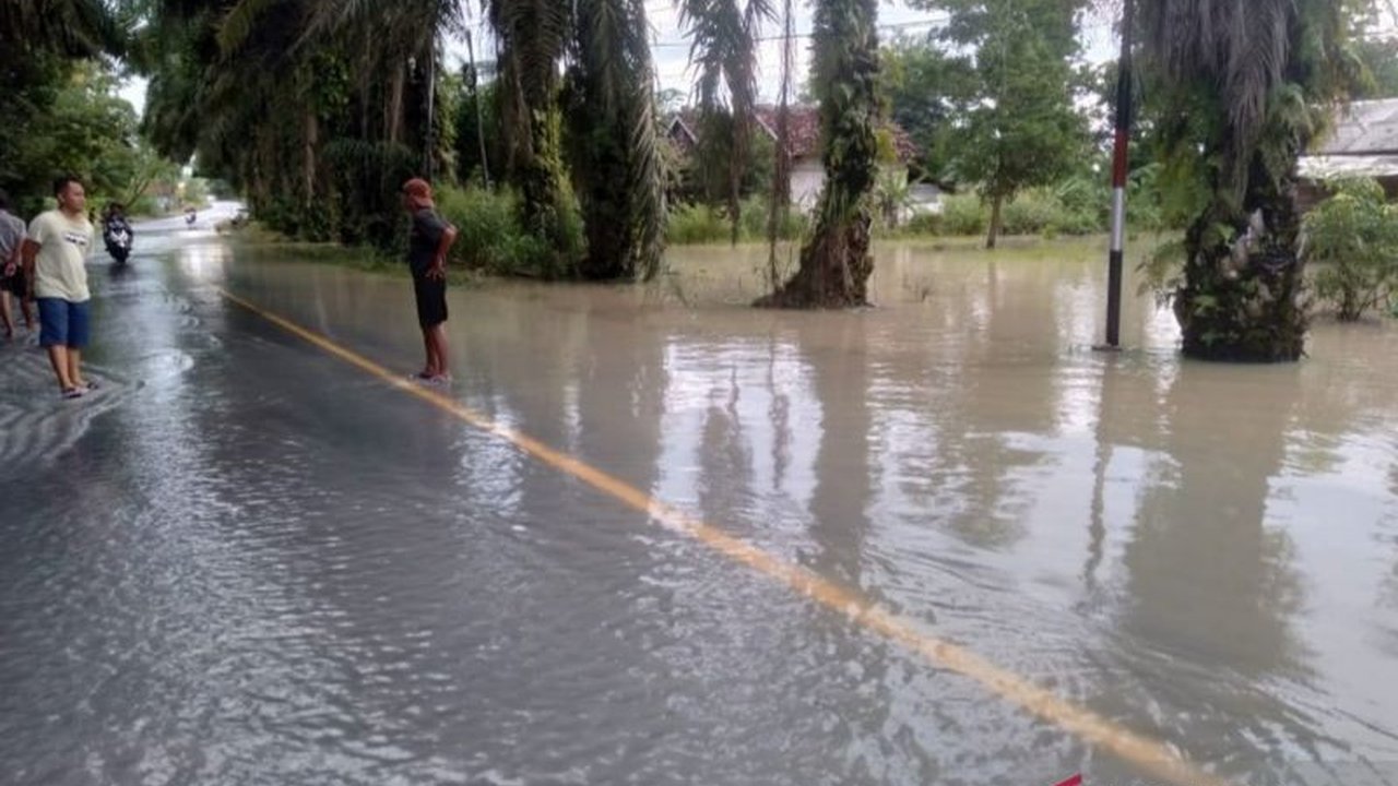 Banjir di Tulang Bawang, Lampung: Jalintim Terendam, Ratusan Warga Terdampak