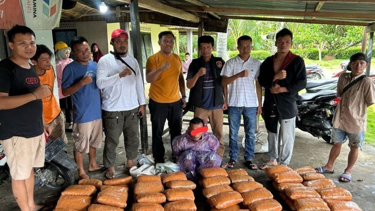 Polda Sumbar Gagalkan Penyelundupan 82 Paket Ganja, Satu Pelaku Buron