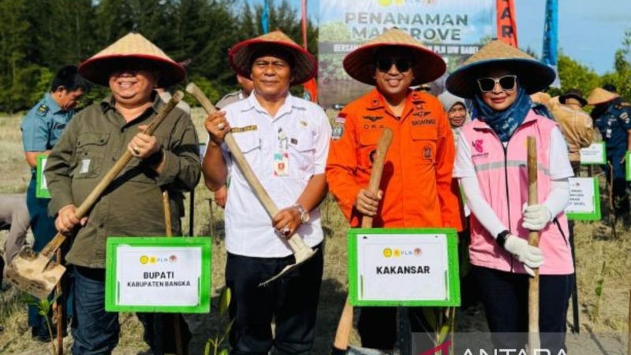 PLN Babel Tanam 1.000 Bibit Mangrove, Perkuat Ekosistem Pesisir Bangka