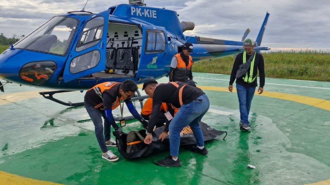 Dua pendaki, Elsa Laksono dan Lilie Wijayanti Poegiono, meninggal dunia akibat hipotermia saat mendaki Puncak Cartensz dan jenazahnya telah diterbangkan ke Jakarta.