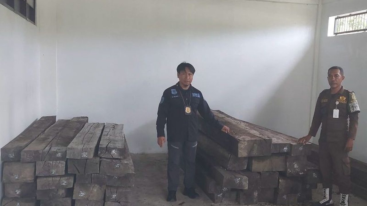 Tujuh tersangka pembalakan liar di Maluku telah diserahkan ke Kejari SBT dan terancam hukuman 5 tahun penjara serta denda 2,5 Miliar Rupiah atas perusakan hutan lindung.