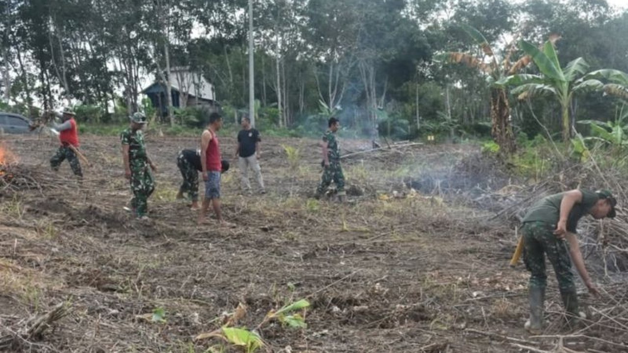 Satgas TMMD ke-123 Kodim 1004/Kotabaru, Kalimantan Selatan, sukses mengubah lahan tidur menjadi kebun produktif, mendorong peningkatan ekonomi warga Desa Talusi.