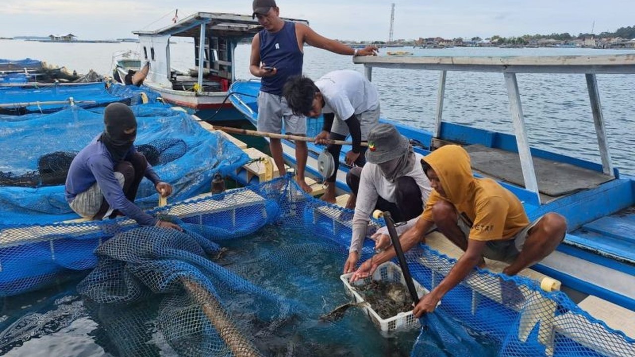 Kepulauan Seribu Dukung Peningkatan Produksi Budi Daya Ikan Nelayan