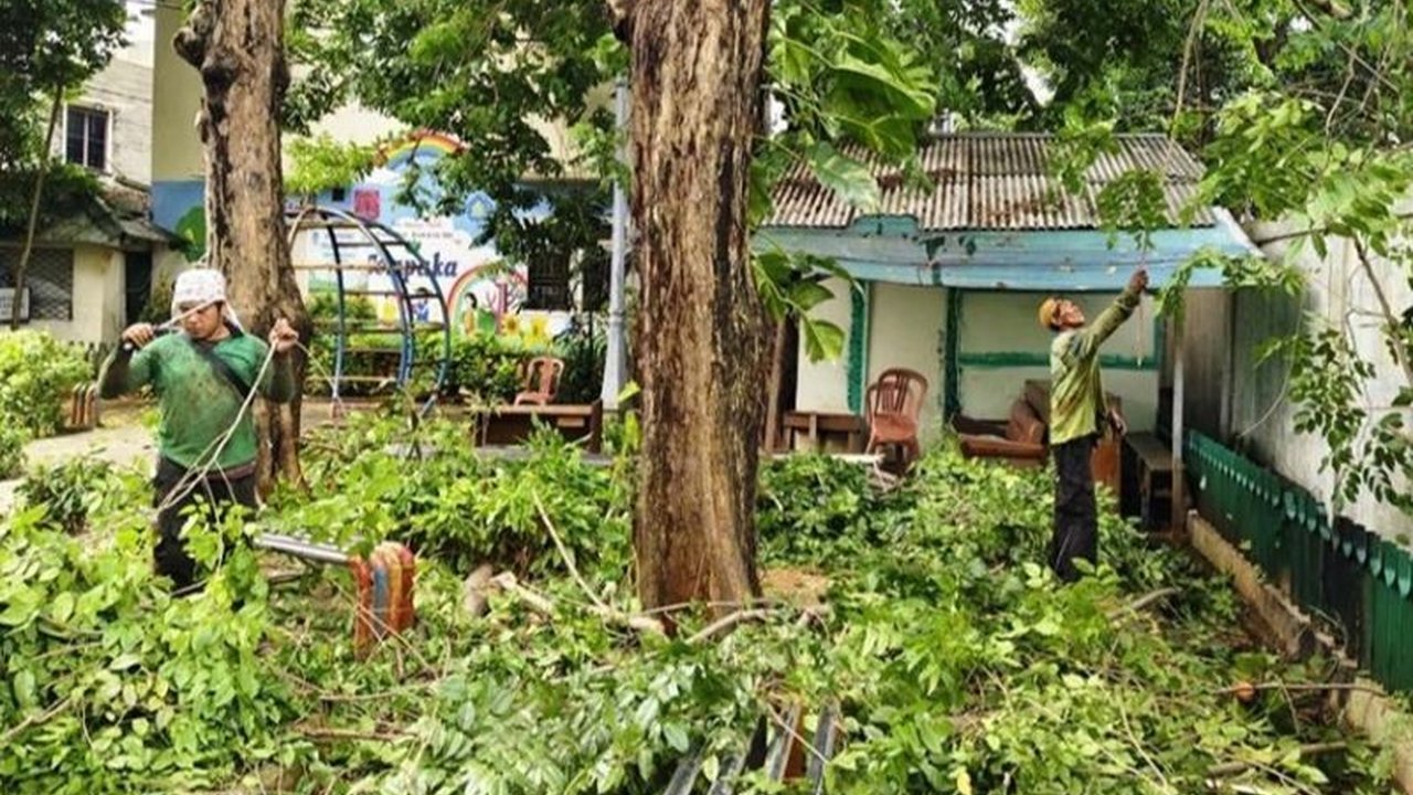 Suku Dinas Pertamanan dan Hutan Kota Jakarta Barat memangkas 546 pohon pada Februari 2025 untuk mencegah tumbang dan membahayakan warga, meningkat dari bulan sebelumnya.