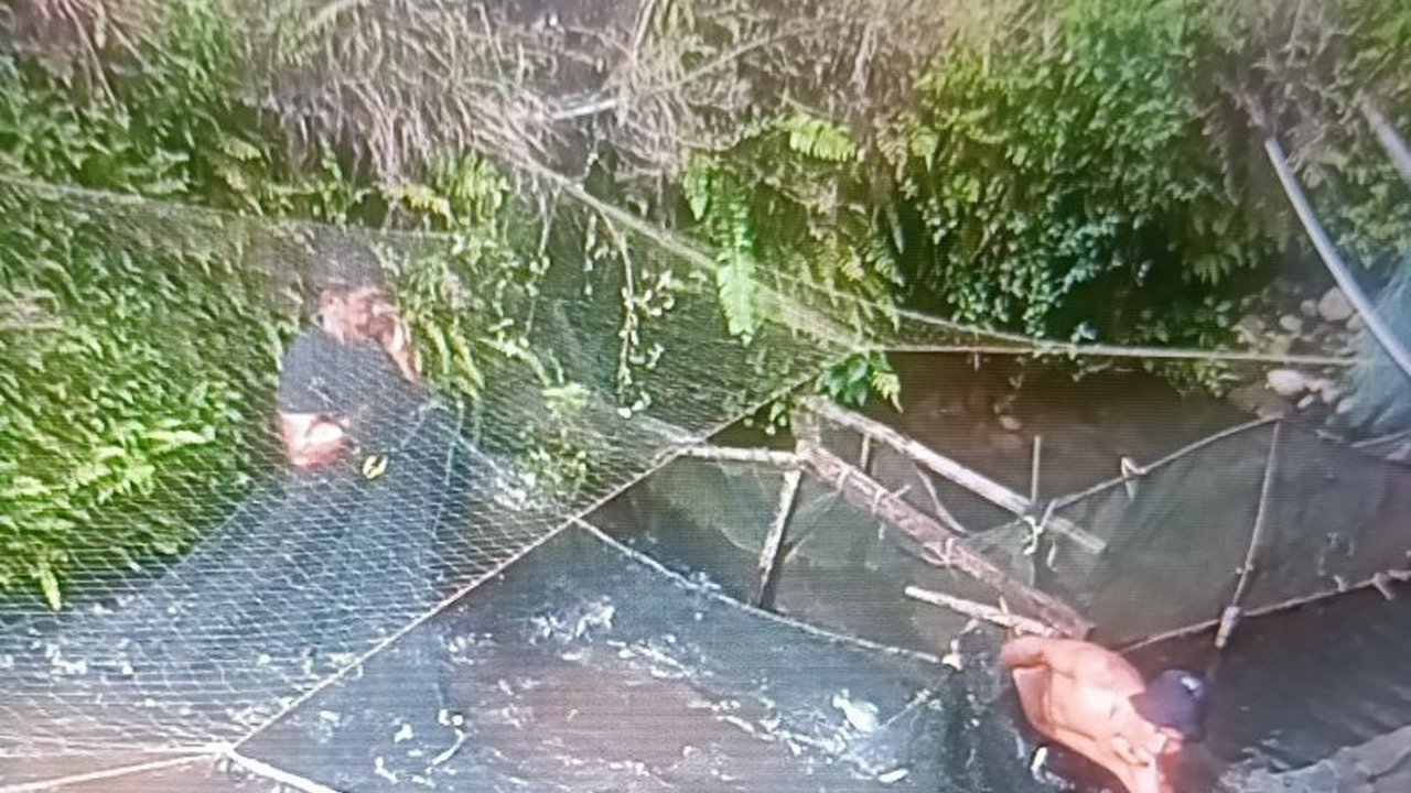 Produksi Ikan Pasaman Barat Tembus 18.158 Ton dalam Dua Bulan!