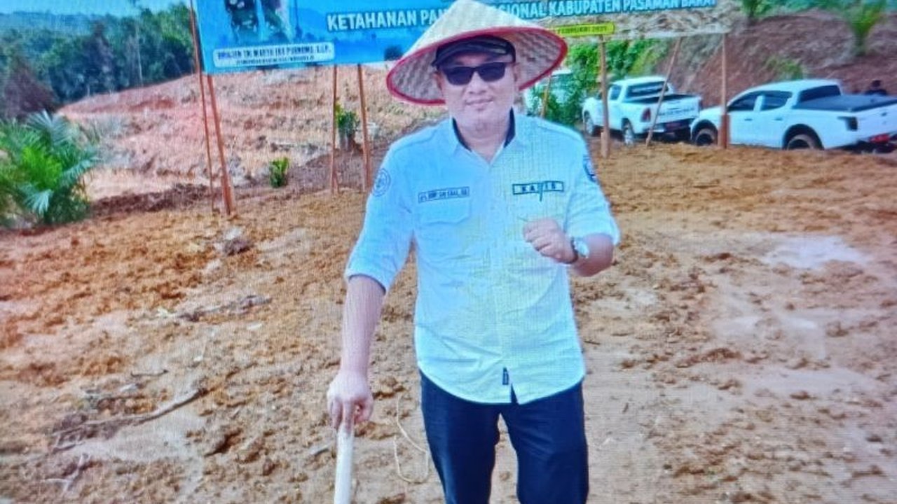 Pasaman Barat Bidik Produksi Padi Gogo 8.875 Ton di 2025