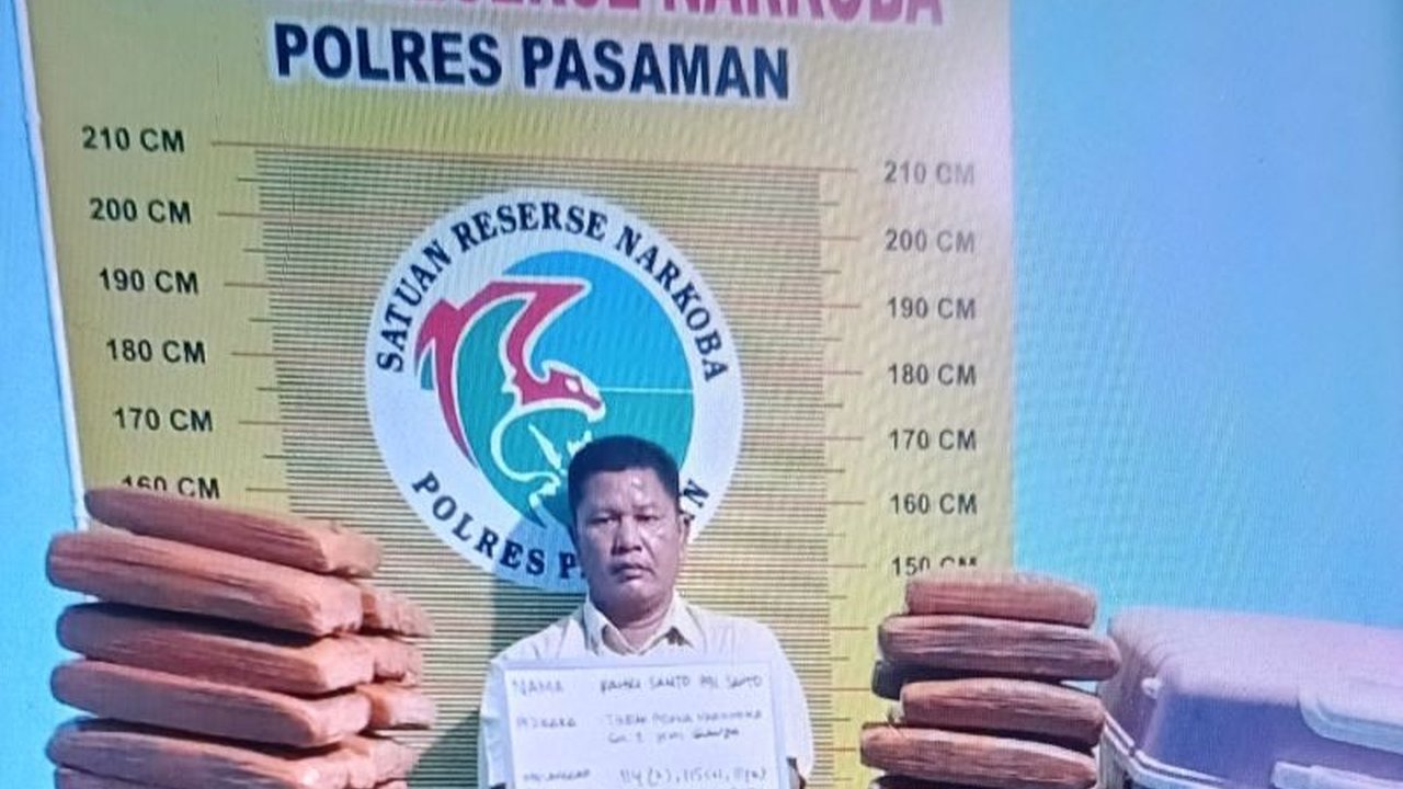 Polres Pasaman berhasil menggagalkan peredaran 100 paket ganja dari Panyabungan, Sumatera Utara, dan menangkap satu tersangka kurir.