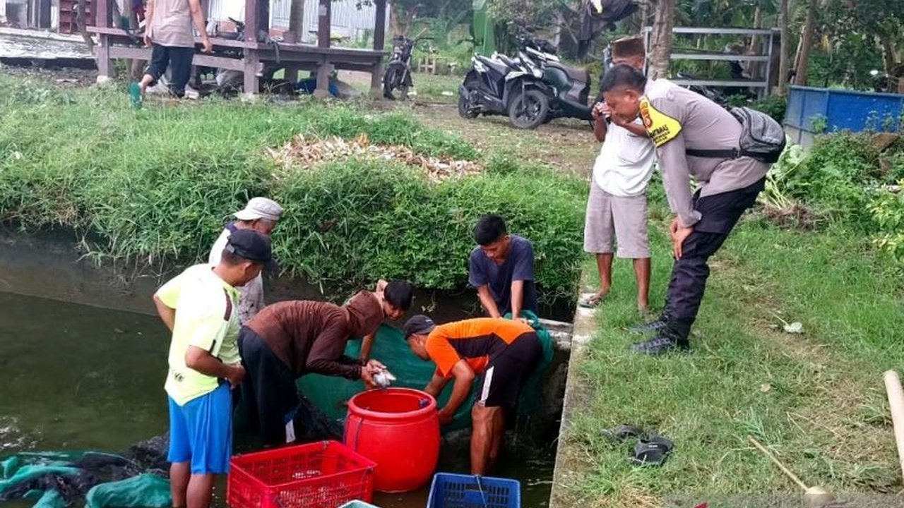 Kepolisian Resor Kota Mataram membantu peternak ikan air tawar di Kecamatan Lingsar, Lombok Barat, Nusa Tenggara Barat, melalui program sambang warga untuk menjaga produktivitas dan mendukung ketahanan pangan.