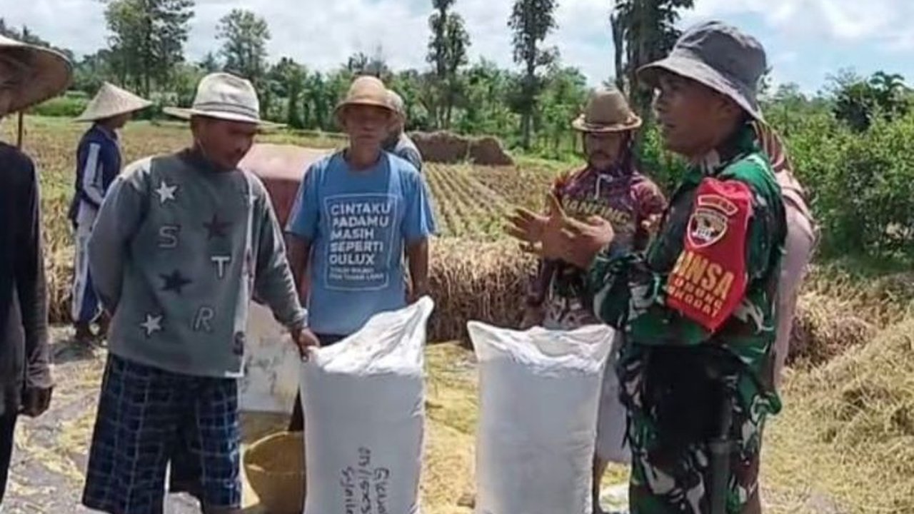 TNI membantu petani Lombok Tengah agar terhindar dari praktik calo dengan mengawal pembelian gabah langsung oleh Bulog, menjamin harga Rp6.500 per kilogram.