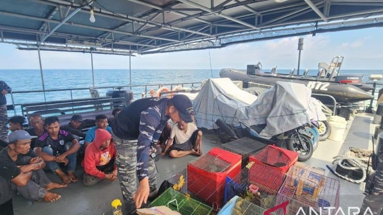 TNI Angkatan Laut berhasil menggagalkan upaya penyelundupan 10 PMI ilegal, 2 WNA Bangladesh, dan 26 satwa dilindungi di Selat Malaka, yang hendak dibawa ke Malaysia.