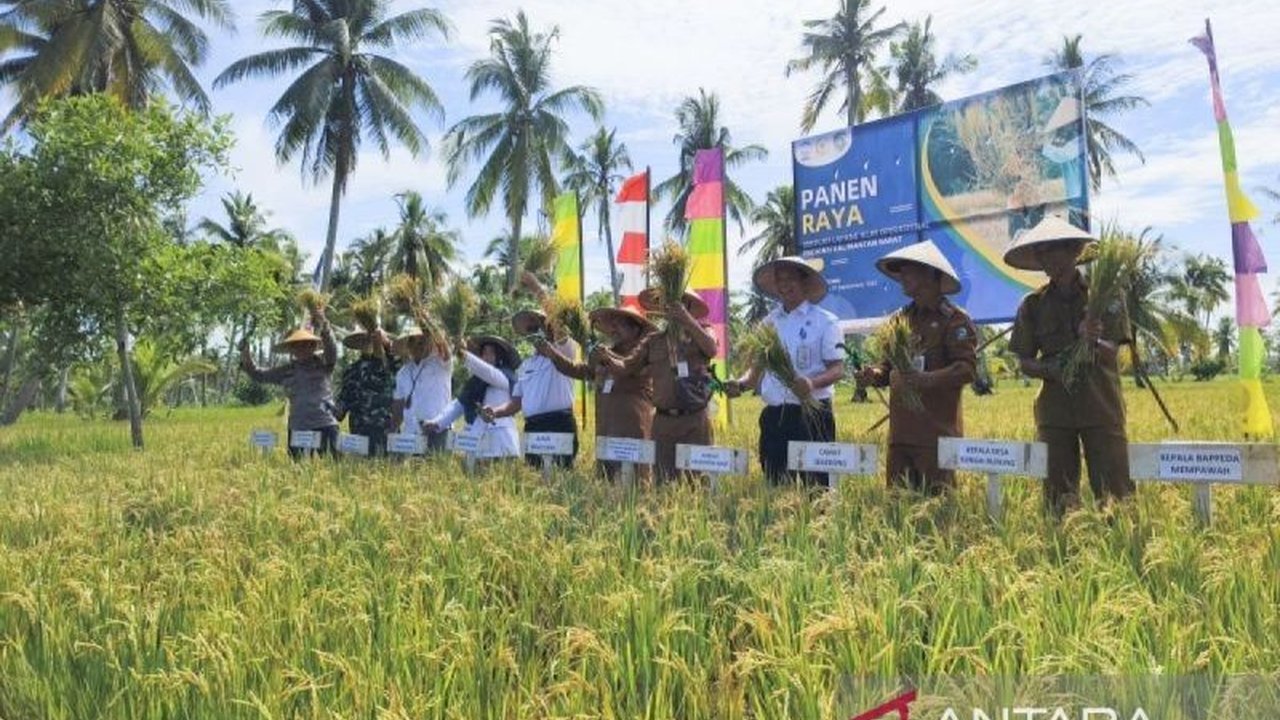 Produksi padi Kalimantan Barat tahun 2024 meningkat signifikan hingga 9,21 persen, mencapai 764,78 ribu ton GKG,  didorong peningkatan luas panen dan produktivitas di sejumlah kabupaten.