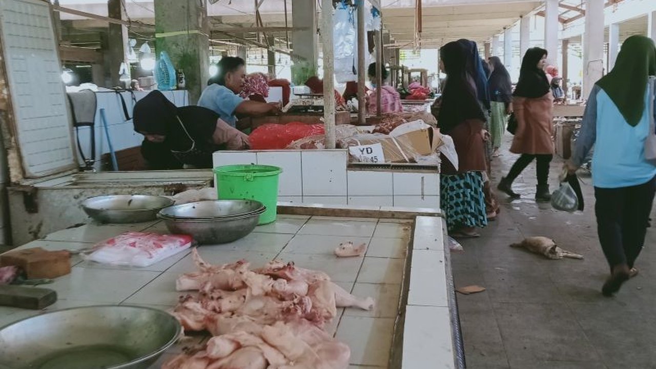 Majelis Ulama Indonesia (MUI) Kabupaten Penajam Paser Utara memastikan bahan makanan di pasaran layak dikonsumsi umat Muslim selama Ramadhan, termasuk memberikan edukasi dan imbauan sertifikasi halal kepada pedagang.