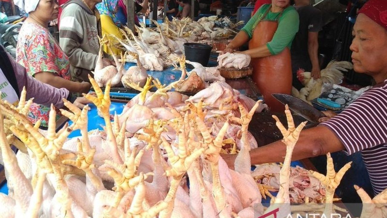 Pemerintah Kalimantan Timur menggelar Gerakan Pangan Murah (GPM) selama dua hari pada 6-7 Maret 2025 untuk menekan inflasi Ramadan, berkolaborasi dengan berbagai pihak swasta dan instansi pemerintah.