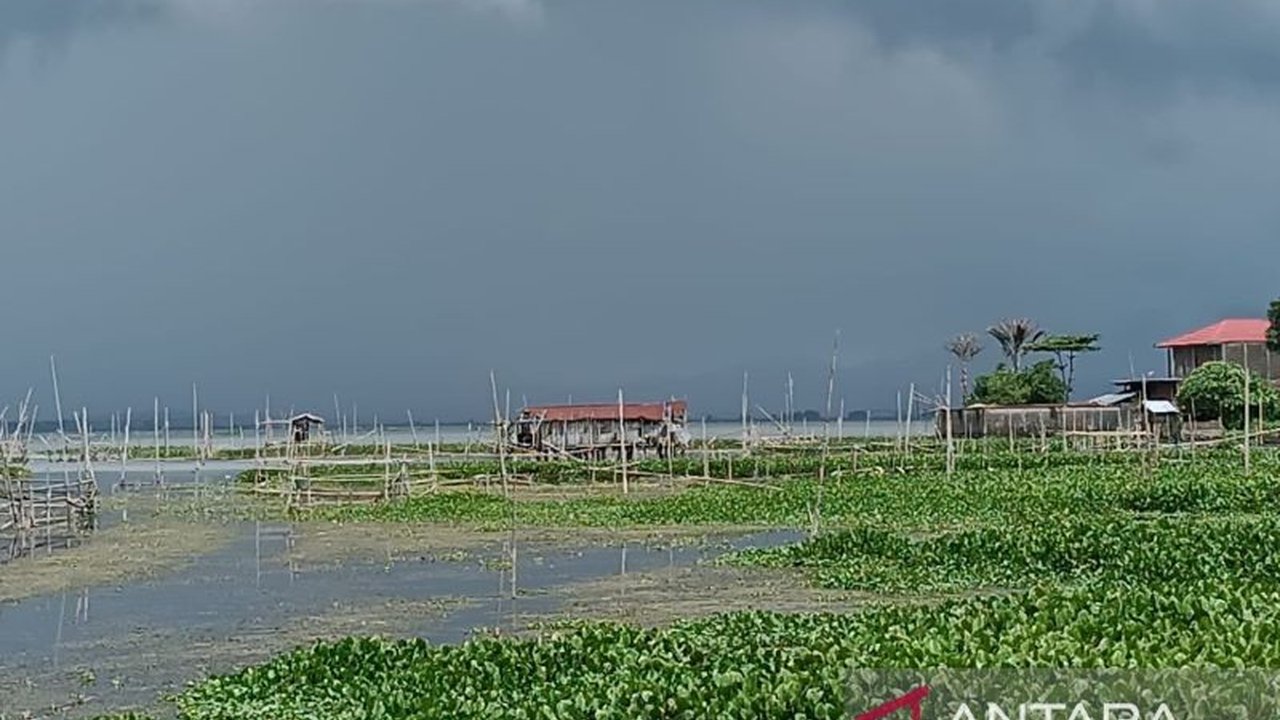 Gubernur Sulawesi Utara optimistis Danau Tondano akan bersih dari eceng gondok dalam tiga bulan berkat bantuan TNI, mengembalikan keindahan danau vulkanik tersebut.