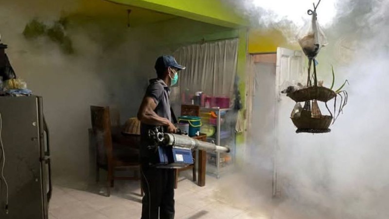 Waspada DBD! Dinkes Rejang Lebong Laporkan Peningkatan Kasus