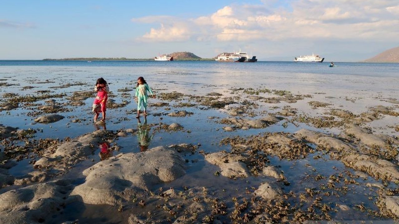 NTB targetkan penambahan 4 kawasan konservasi laut baru pada 2025, menambah total menjadi 16 kawasan untuk pengelolaan sumber daya perikanan berkelanjutan.