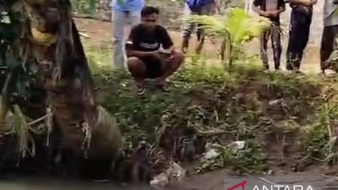 Penemuan jasad bayi laki-laki di Sungai Cijurang, Cianjur, Jawa Barat, tengah diselidiki polisi; penyelidikan difokuskan untuk mengungkap pelaku pembuangan bayi malang tersebut.