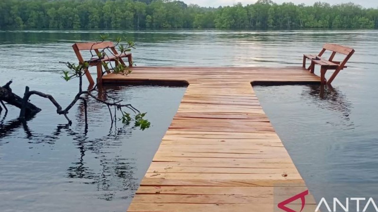 BKSDA Sumbar dan PLN UID Sumbar perpanjang kerja sama selama 10 tahun untuk melindungi flora dan fauna di TWA Saibi Sarabua, Mentawai, khususnya primata endemik bokkoi.