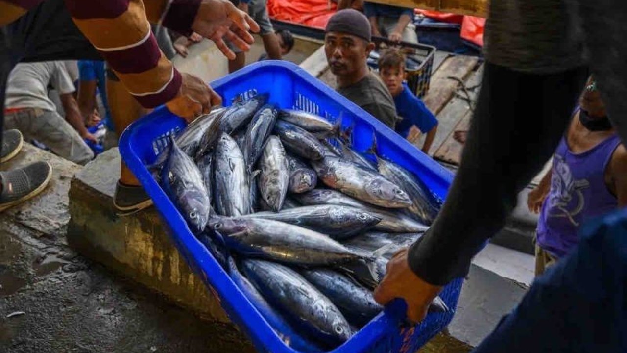 Kementerian Kelautan dan Perikanan (KKP) memastikan ketersediaan ikan di Indonesia aman selama Ramadhan dan Lebaran 2025, dengan harga stabil berkat sejumlah strategi yang diterapkan.