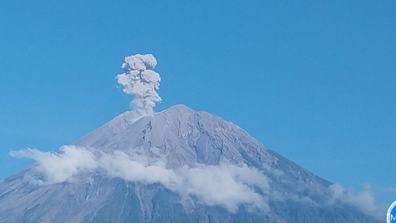 Gunung Semeru kembali erupsi pada Kamis pagi dengan tinggi letusan mencapai 1.100 meter, PVMBG mengimbau masyarakat menjauhi zona bahaya.