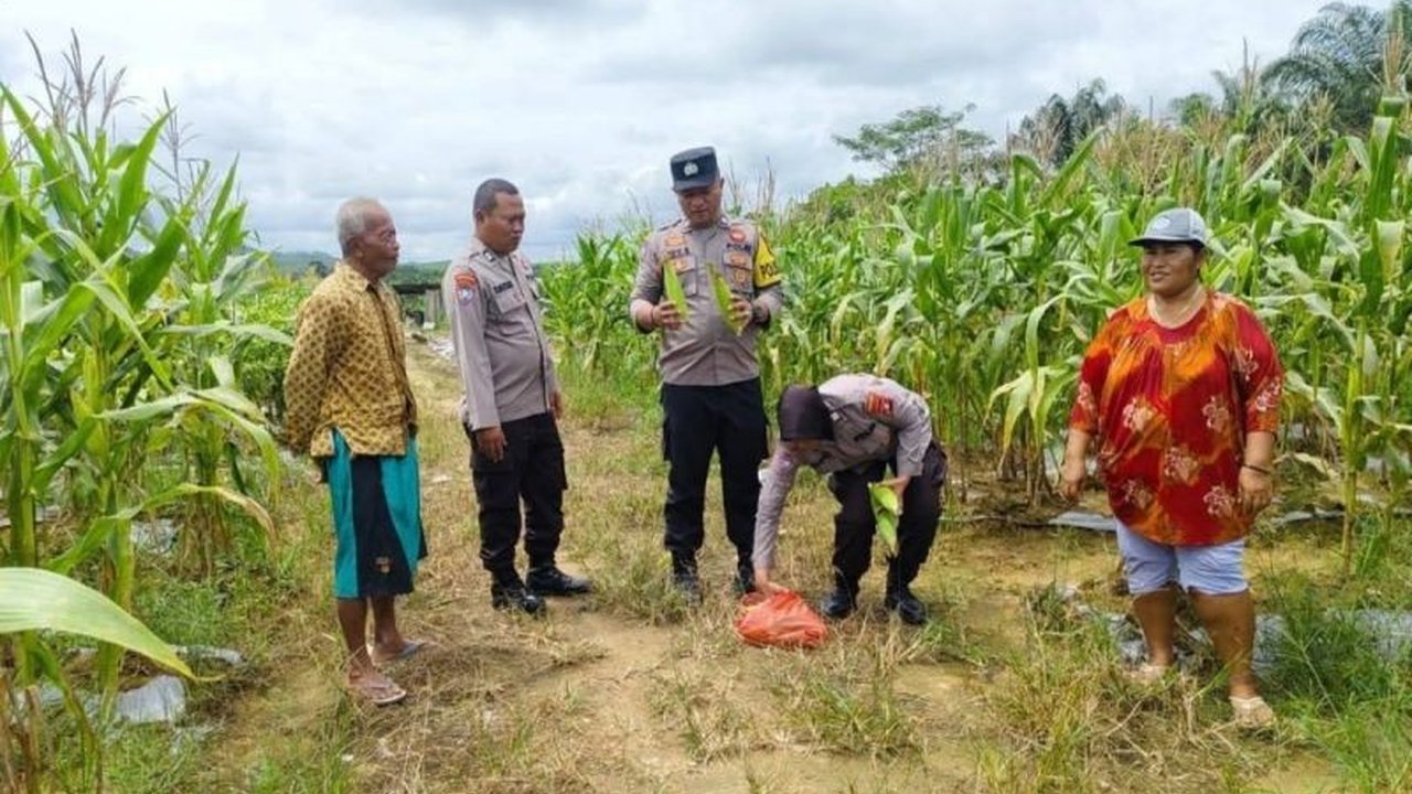 Polres Lamandau mengajak masyarakat Lamandau, Kalimantan Tengah, untuk memanfaatkan lahan guna mendukung program ketahanan pangan nasional dan meningkatkan perekonomian daerah.