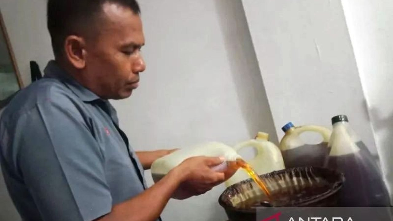 Produksi Minyak Atsiri Aceh Barat Tembus 22,82 Ton per Tahun, Dorong Ekonomi Lokal