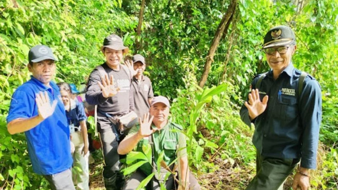 60 Pohon Aren Ditanam di Hutan Desa Ambengan, Buleleng: Lestarikan Alam, Sejahterakan Warga