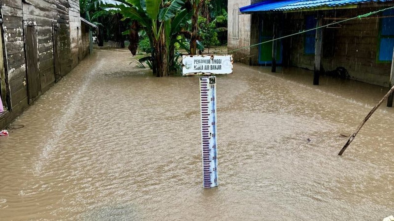 BPBD Kabupaten Banjar, Kalimantan Selatan, melaporkan banjir setinggi satu meter lebih merendam Dusun Tunggul Nangka akibat curah hujan tinggi dan letak geografisnya yang rendah.