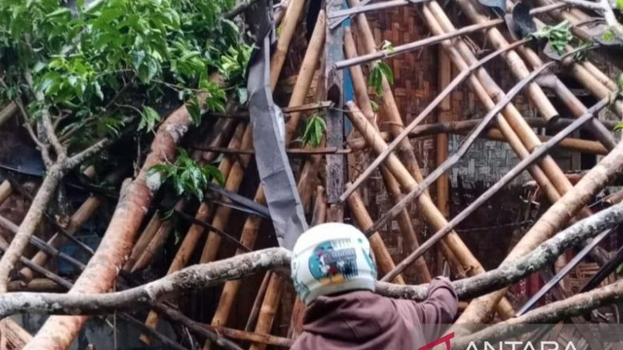 Hujan deras di Cianjur mengakibatkan dua rumah rusak akibat pohon tumbang, sembilan warga mengungsi sementara, dan bencana alam lain seperti longsor dan banjir juga terjadi.
