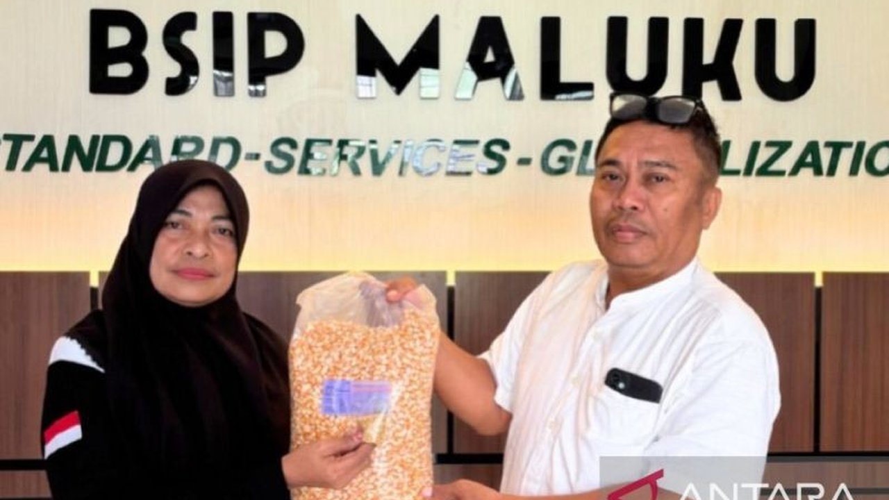 Balai Penerapan Standar Instrumen Pertanian (BSIP) Maluku menyalurkan bantuan bibit cabai dan jagung kepada Lembaga Pemasyarakatan Perempuan (LPP) Kelas III Ambon untuk mendukung ketahanan pangan dan pemberdayaan warga binaan.
