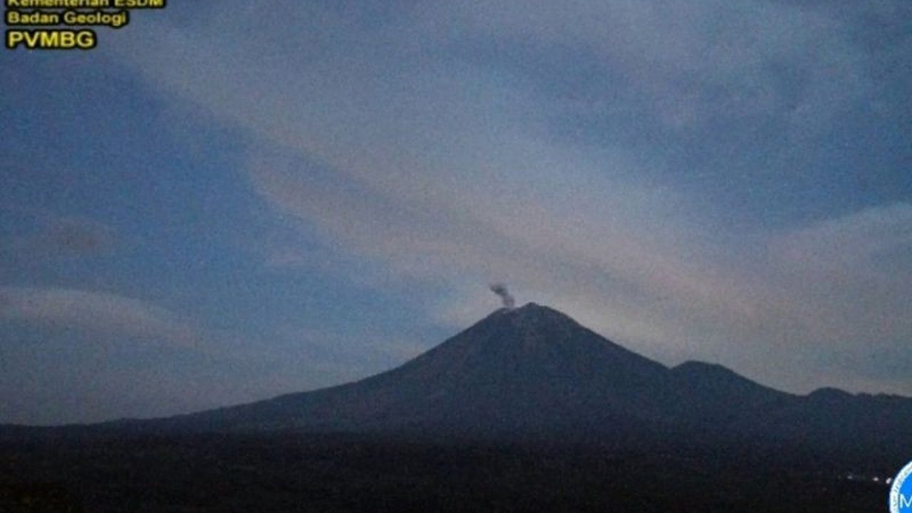 Semeru Erupsi Empat Kali, Tinggi Letusan Capai 700 Meter