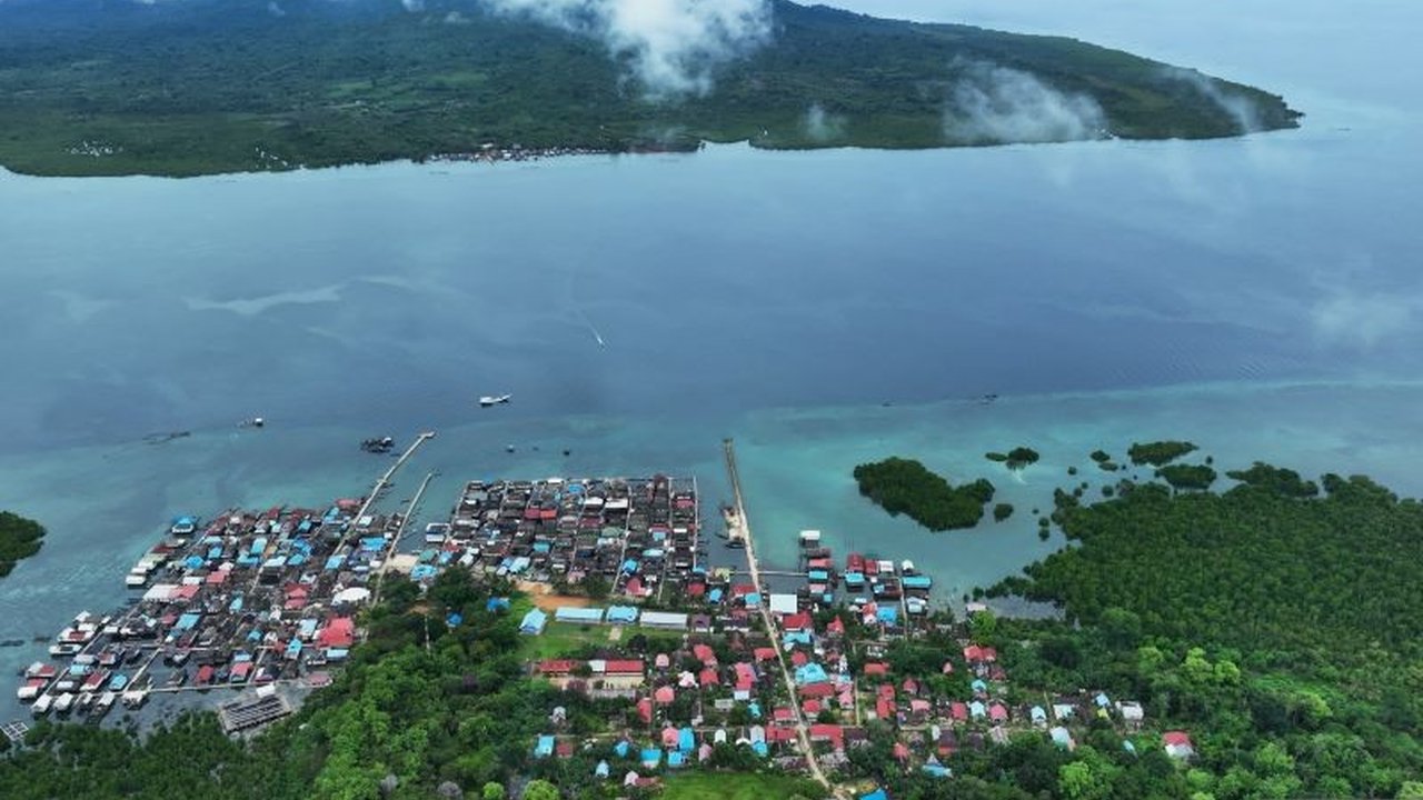 KKP Investigasi Pembantaian Lumba-lumba di Muna, Sulawesi Tenggara