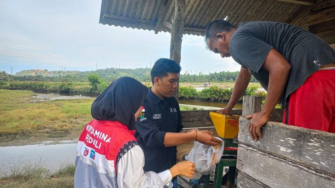 Pertamina Patra Niaga Regional Sumbagut membantu petani tambak di Lhokseumawe membuat pakan udang mandiri dari limbah organik, menekan biaya dan meningkatkan produktivitas.