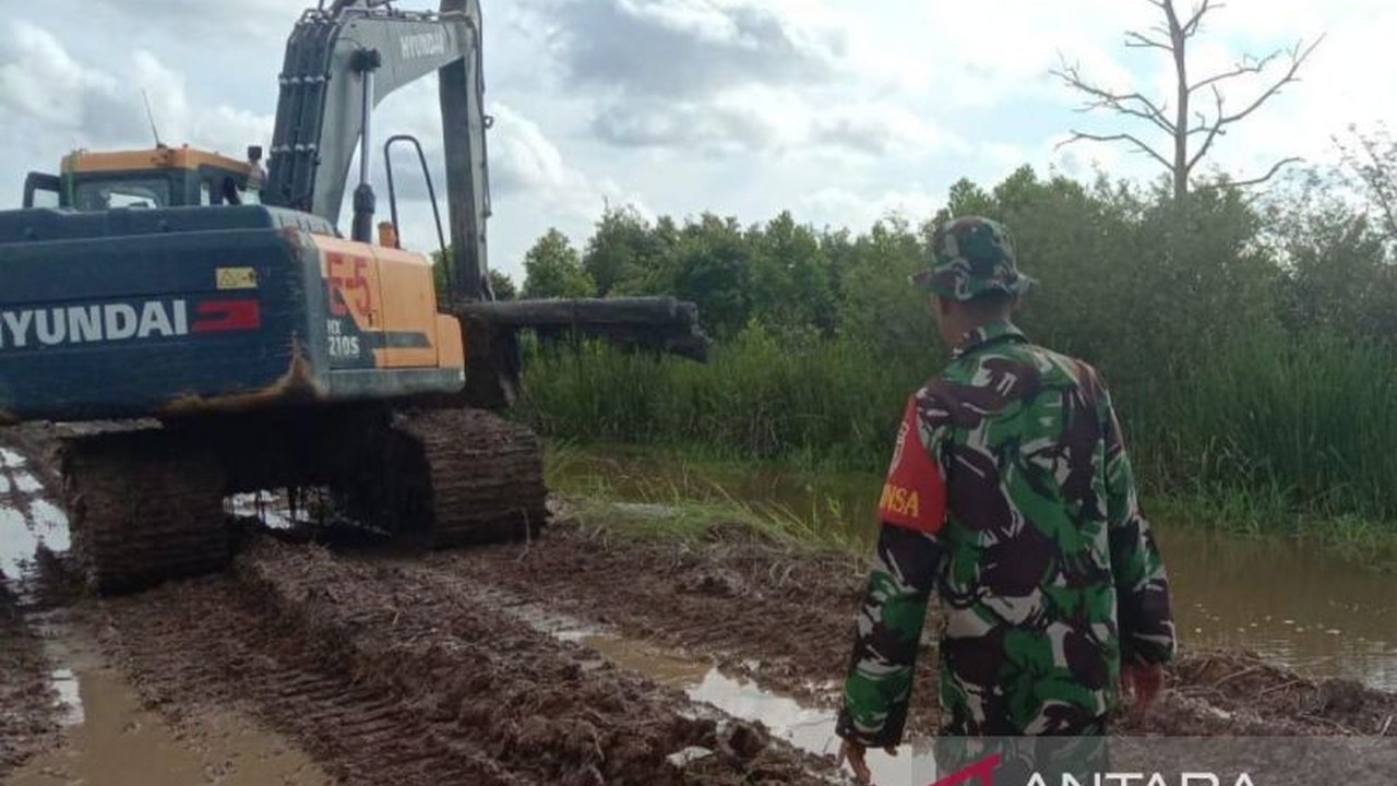 Cetak Sawah Baru 3 Juta Hektare: Solusi Swasembada Pangan Indonesia?