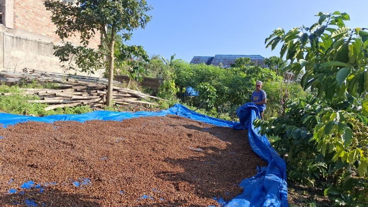 Pemprov Lampung berupaya mengembangkan industri pengolahan yang inklusif untuk meningkatkan pertumbuhan ekonomi daerah secara merata dan berkeadilan, dengan melibatkan petani dalam pengolahan komoditas unggulan.