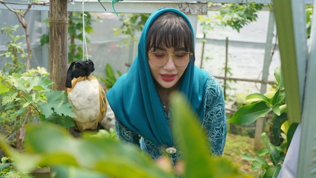 Anggota DPR RI Novita Hardini mendorong kemandirian pangan di Trenggalek melalui program PKK Pangan Bergizi, mengajak warga memanfaatkan pekarangan rumah untuk bercocok tanam guna menekan angka stunting dan mengurangi ketergantungan pasokan dari luar daer