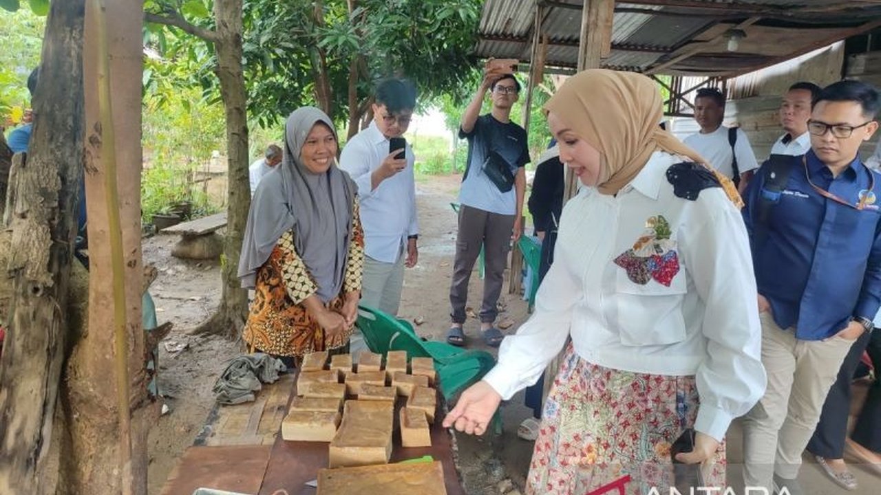 Anggota Komisi VII DPR RI, Erna Sari Dewi, mendorong IKM di Bengkulu agar memanfaatkan program UMi untuk meningkatkan kualitas produk dan kemasan, serta naik kelas menjadi UMKM.
