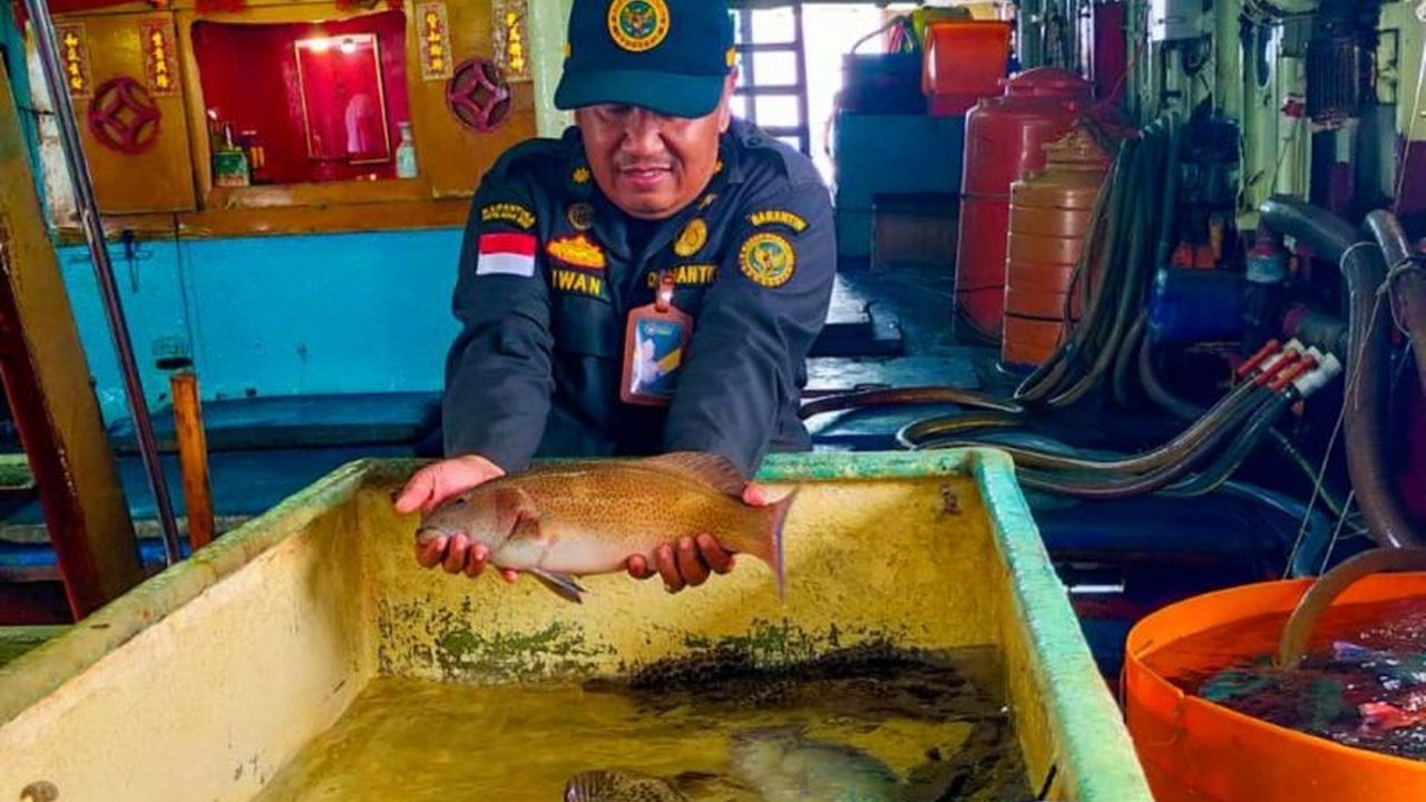 Balai Karantina Hewan, Ikan, dan Tumbuhan (BKHIT) Kepri memfasilitasi pengiriman 8.956 ekor komoditas perikanan dari Natuna ke Hong Kong,  mendukung hilirisasi dan mendorong ekspor Indonesia.