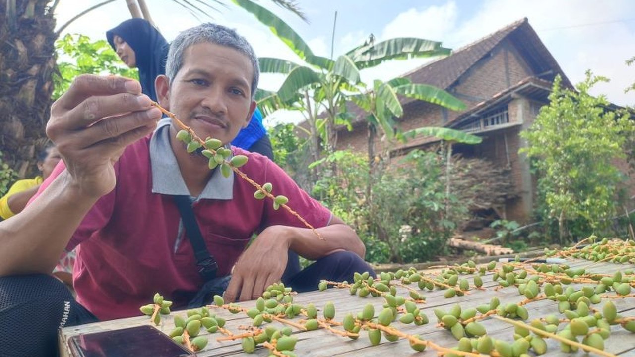 Warga Ponorogo antusias mendapatkan ribuan kurma muda gratis dari kebun milik Wahyu Eko Widodo, banyak yang berharap mendapat keberkahan untuk segera memiliki momongan.
