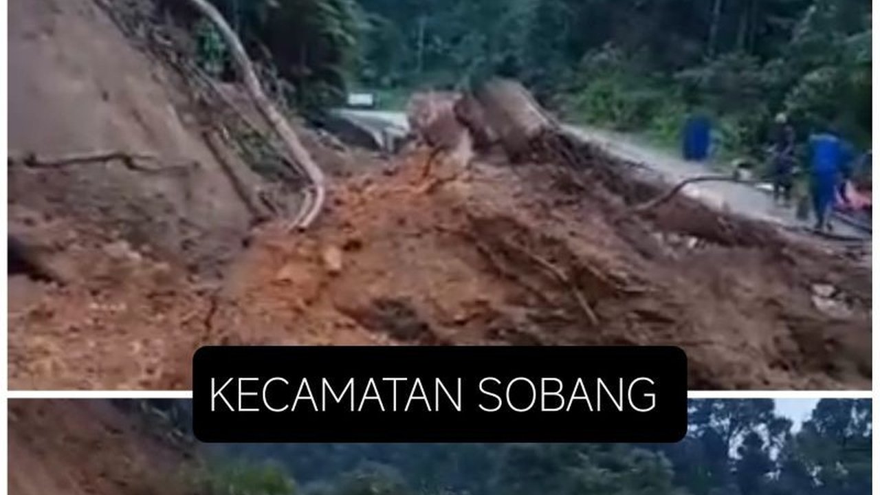 Longsor di ruas jalan Cipanas-Citorek, Lebak, Banten, sempat memutus akses ke Negeri di Atas Awan, namun kini jalan telah kembali normal setelah perbaikan oleh Dinas PUPR Banten.