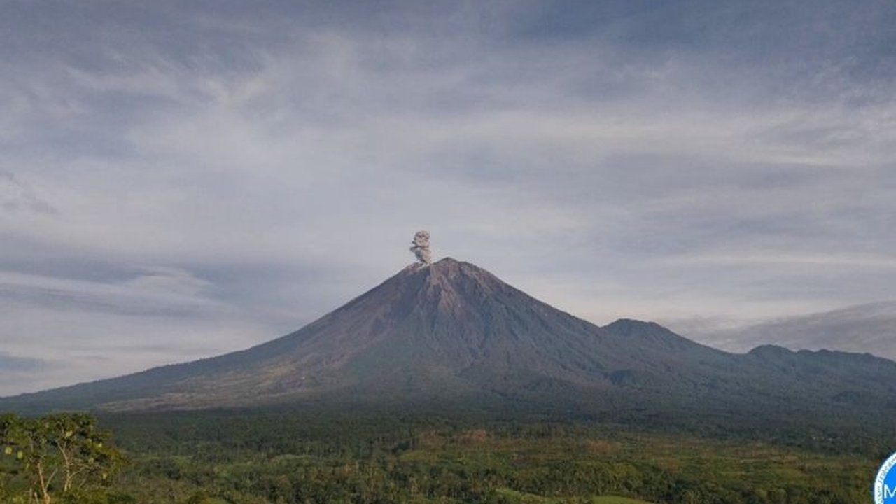 Gunung Semeru di Lumajang, Jawa Timur mengalami erupsi beberapa kali pada Senin, dengan letusan tertinggi mencapai 1.100 meter di atas puncak, disertai rekomendasi dari PVMBG untuk menghindari radius bahaya.