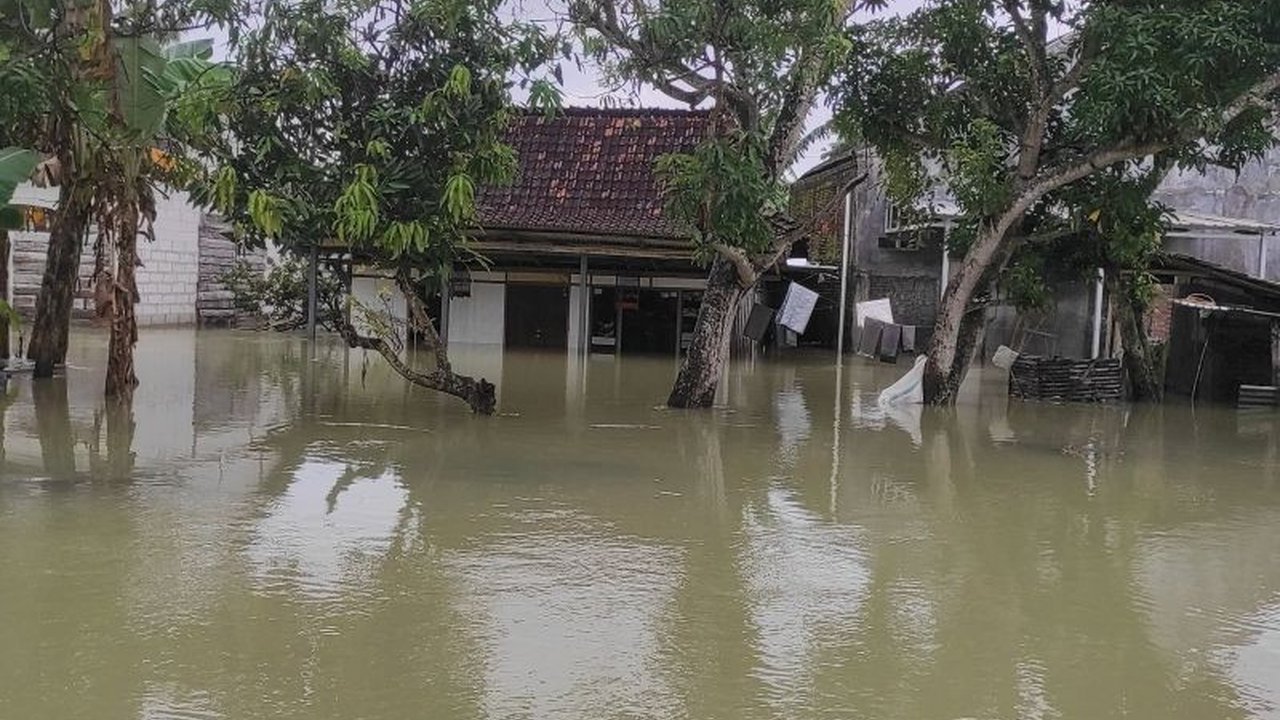Banjir Grobogan: 280 Warga Mengungsi Akibat Jebolnya Tanggul Sungai Tuntang