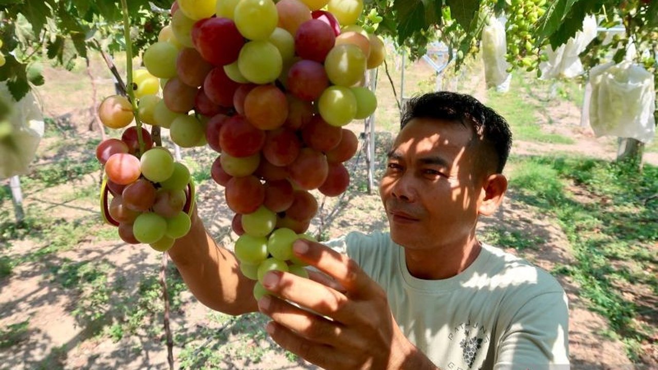 Pemerintah NTB fokus diversifikasi ekonomi ke sektor non-tambang seperti agromaritim, UMKM, ekonomi kreatif, dan pariwisata untuk pertumbuhan ekonomi yang lebih inklusif dan berkelanjutan.