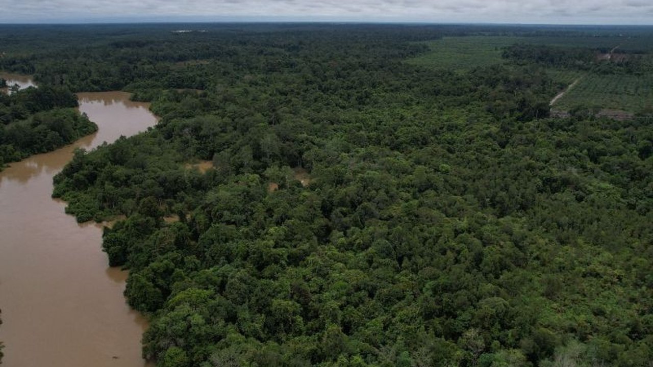 PLN berkomitmen melestarikan ekosistem Rungan-Kahayan di Kalimantan Tengah melalui program TJSL, bekerja sama dengan Yayasan Borneo Nature Indonesia dan masyarakat adat setempat.