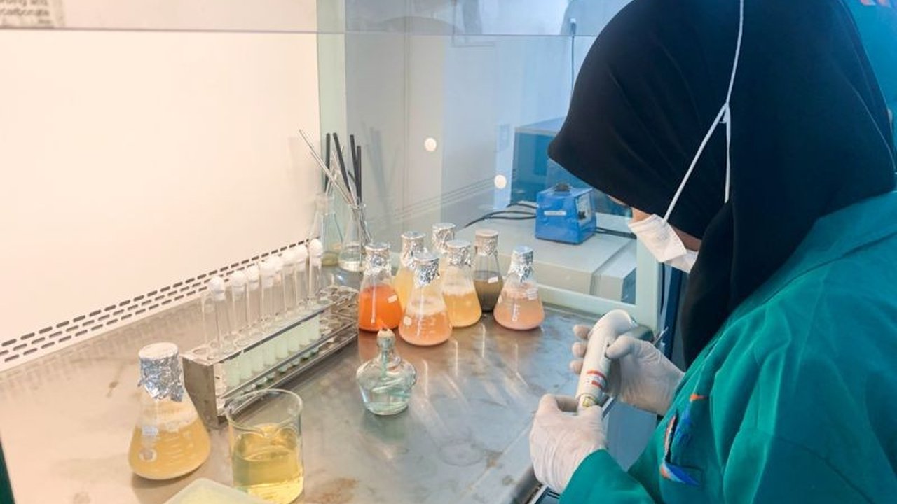 Kementerian Kelautan dan Perikanan (KKP) memastikan keamanan produk perikanan dari bakteri E. coli selama Ramadhan 2025 melalui pengawasan ketat di berbagai wilayah Indonesia.