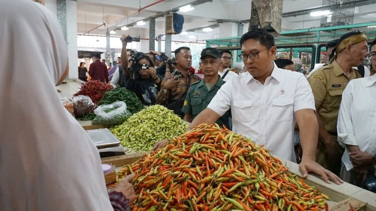 Wamentan Ajak Pemda Rutin Sidak Pasar, Jaga Stabilitas Harga Pangan Jelang Ramadhan