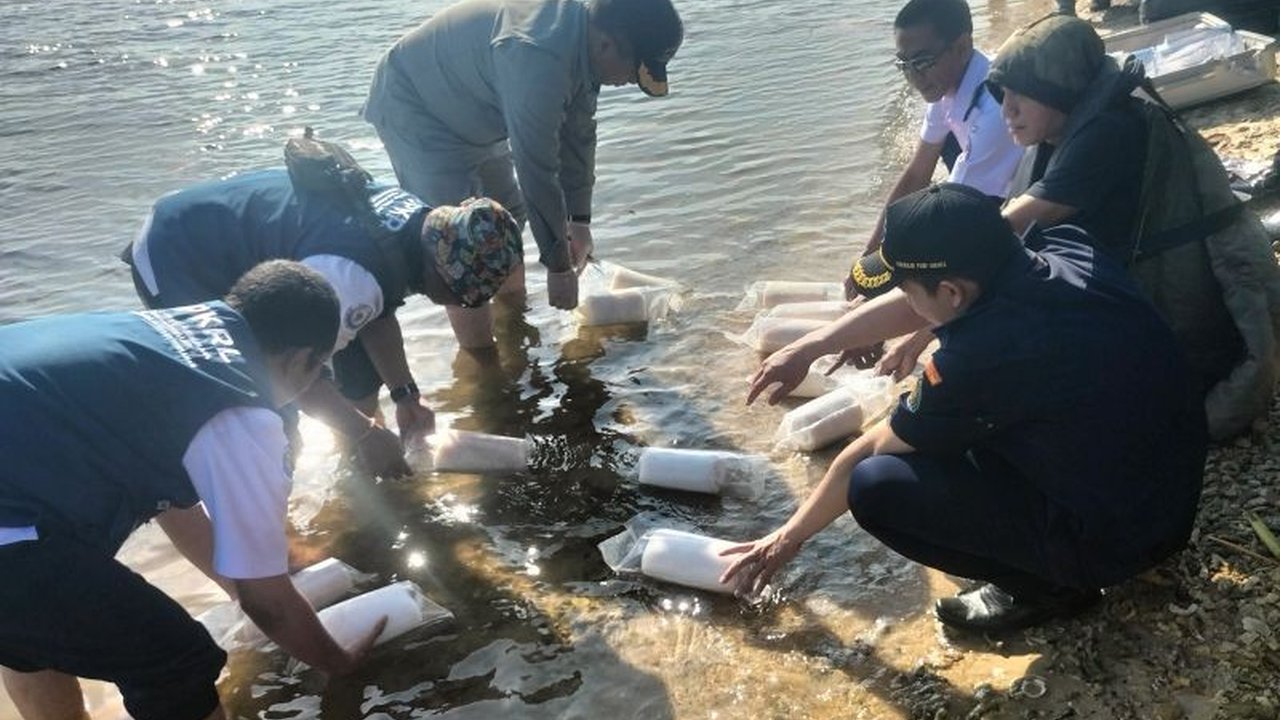 Badan Keamanan Laut (Bakamla) menggagalkan penyelundupan 60.000 bibit lobster di Kepulauan Seribu dan melepaskannya kembali ke laut, mencegah kerugian ekonomi senilai Rp1 miliar.