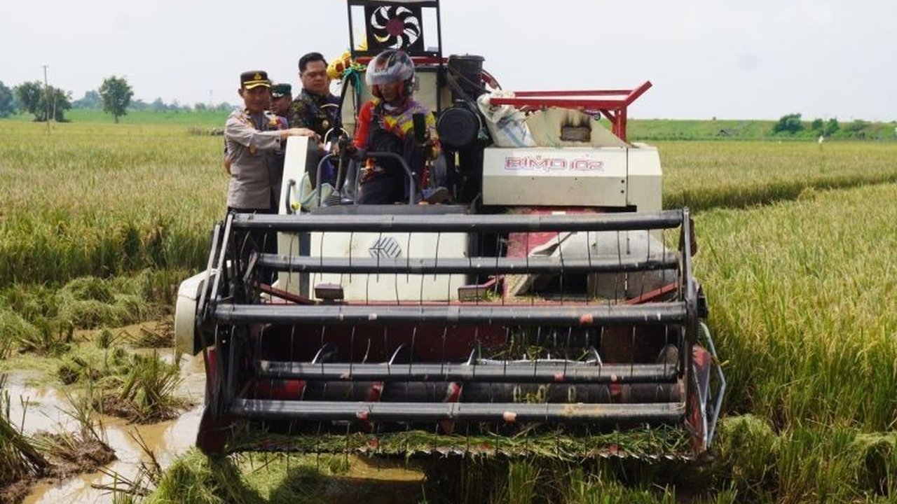 Bulog Pati berhasil menyerap 1.040 ton gabah dan beras petani Jepara dengan harga Rp6.500/kg, melampaui target awal dan menjamin ketahanan pangan nasional.