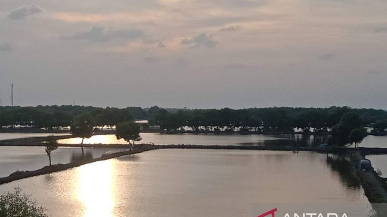 Pemkab Indramayu siapkan lahan seluas 1.000 hektare untuk revitalisasi tambak di Pantura, guna optimalkan potensi perikanan dan tingkatkan kesejahteraan nelayan dengan target produksi nila salin 80 ton per tahun pada 2028.